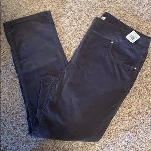NWT Kim Rogers Petite pullon pants SZ-16